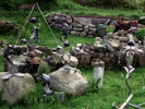 Image 01